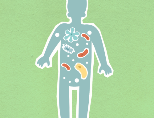 ¿Qué ocurre en el cuerpo cuando comemos?